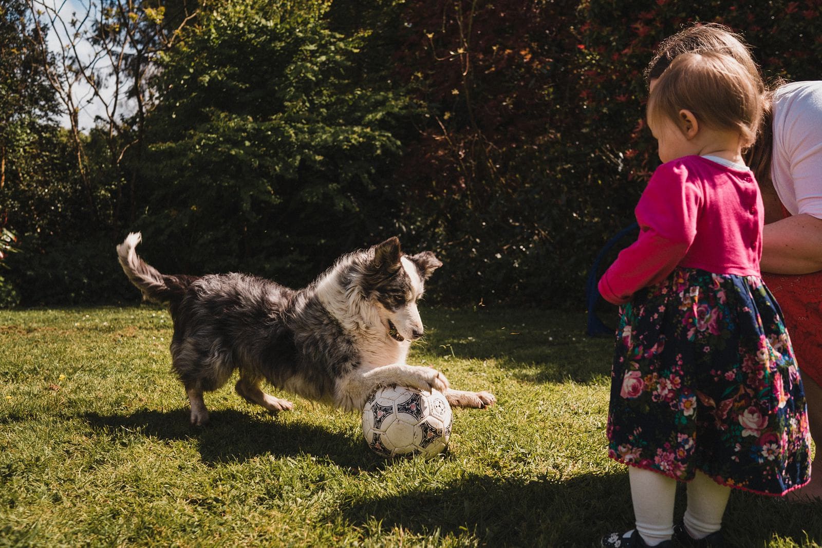cornish camels wedding photography